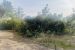 buildable land for sale on CLAPIERS (34830)